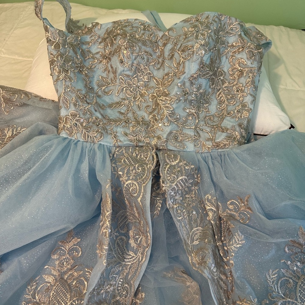 QUINCEANERA Cinderella Elegant Lace Trimmed Baby Blue Ballgown - Picture 5 of 8